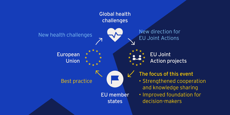 Sustainebility for EU Joint Actions projects